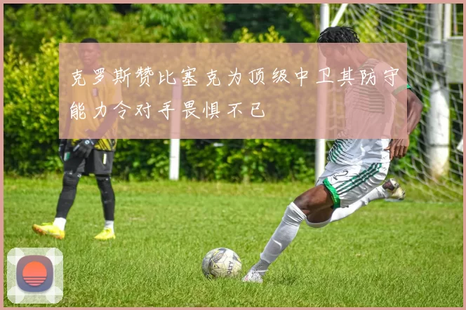 克罗斯赞比塞克为顶级中卫其防守能力令对手畏惧不已