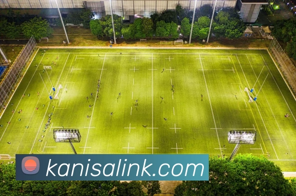 奖项证书
